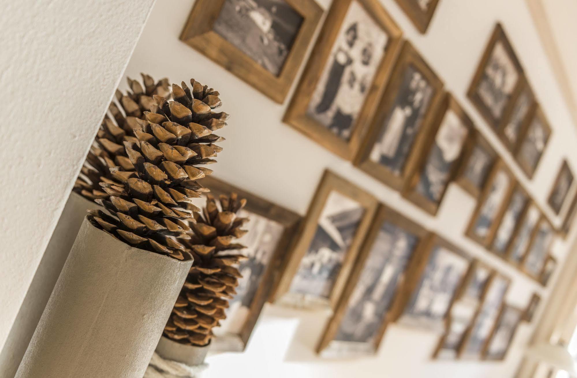 Bed & Breakfast Abis - Dolomites Rio di Pusteria Ngoại thất bức ảnh