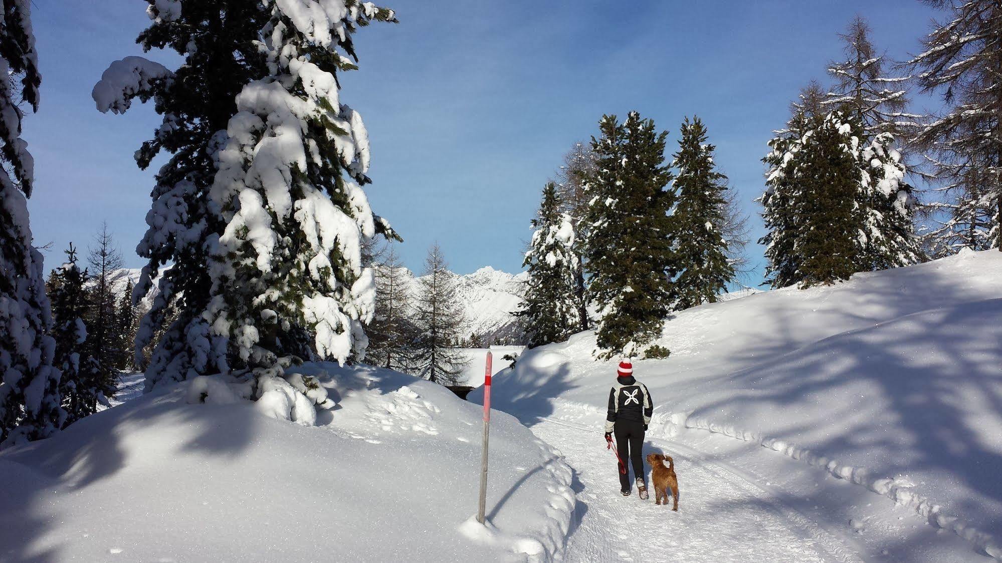 Bed & Breakfast Abis - Dolomites Rio di Pusteria Ngoại thất bức ảnh